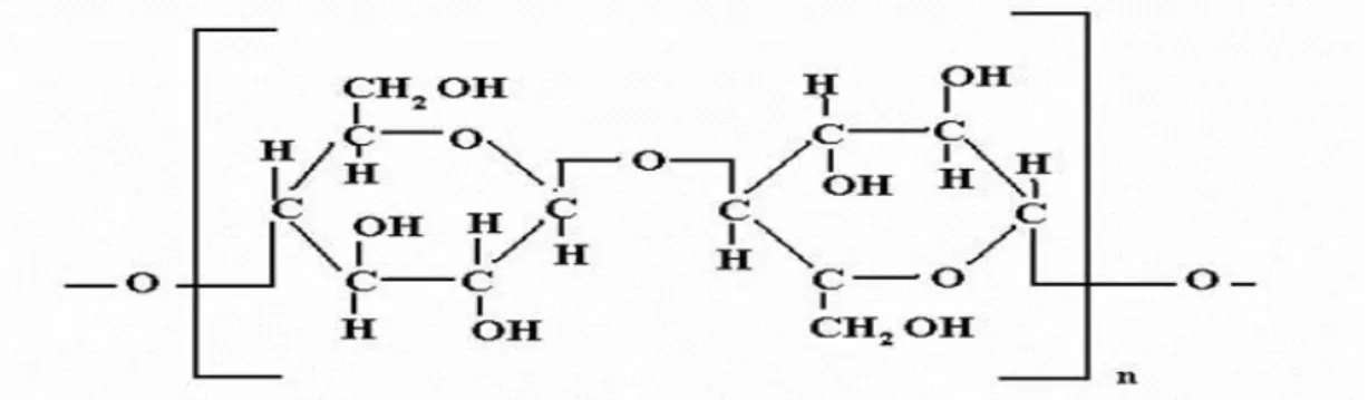 Gambar 1. Struktur Molekul Morin                                       (Sumber : Wikipedia, 2013) 