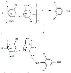 Gambar 1. Adsorpsi zat warna alam tanpa mordan  kapur  sirih  pada  selulosa  (Sukardjo,  1985) 