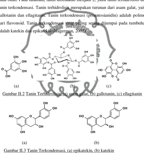 Gambar II.2 Tanin Terhidrolisis, (a) asam galat, (b) gallotanin, (c) ellagitanin 