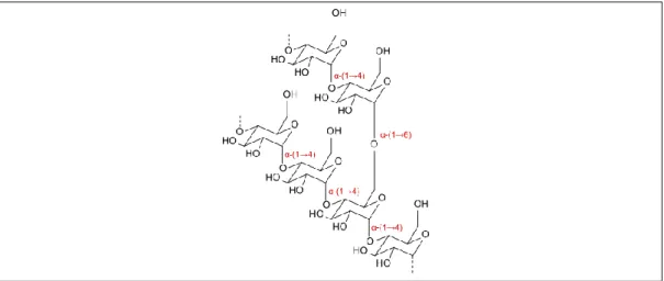 Gambar 4. Struktur Kimia Dekstrin. 