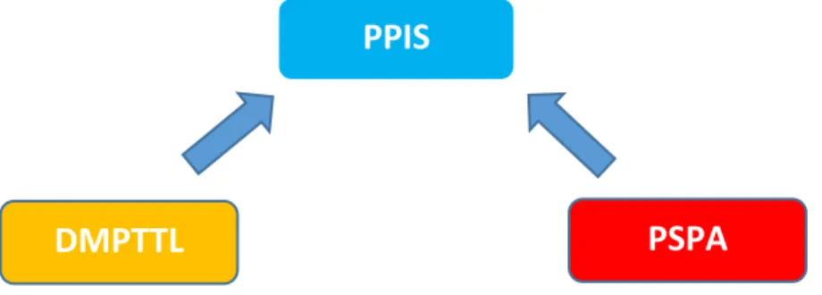 Gambar 3-2. Hubungan Antara Program Teknis (PPIS)  Dengan Program Generik  (DMPTTL dan PSPA) 