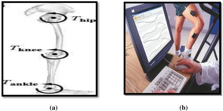 Figure 2.3 (a) and (b): Location of each joint angle and electro goniometry method experiment to shown 