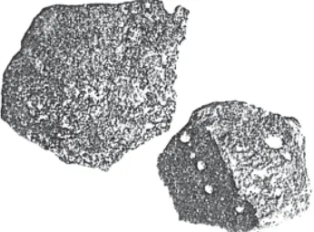 Gambar 04.02 jenis jenis batuan beku