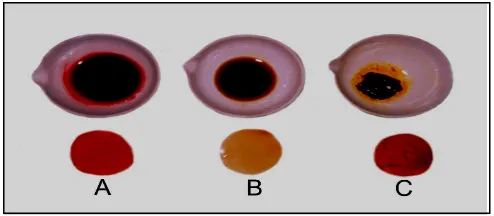 Gambar  2. Warna pigmen   buah  arben  yang diekstrak dengan berbagai jenis pelarut 