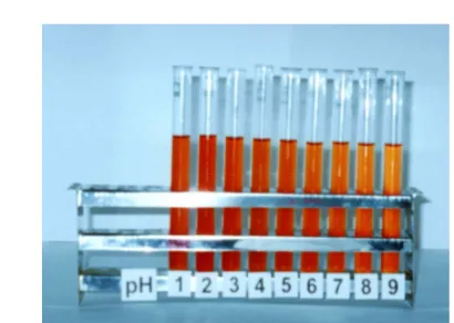 Gambar 3. Degradasi warna dari ekstrak pigmen buah arben akibat perubahan pH 
