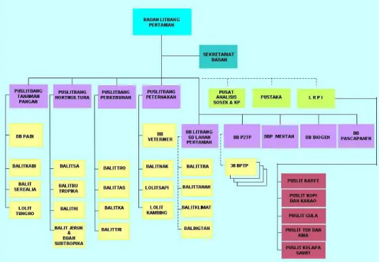Gambar 1. Struktur Organisasi Badan Litbang Pertanian 2006 