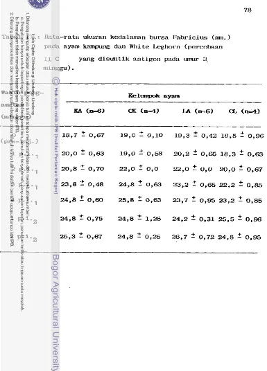 Tabel 11.. : Rata-rata ukuran kedalmrlan bursa Fabricius (mn. ) 