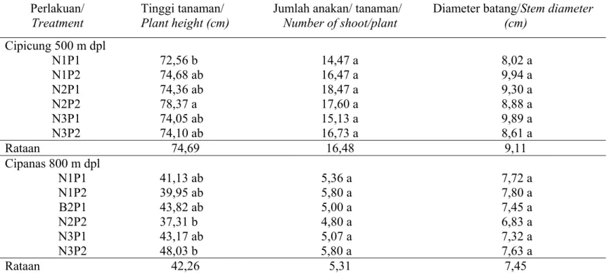 Table 3. Effect of agroclimatic condition, N fertilizer, and plant spacing on big-white ginger growth component at 5  MAP at two different agroclimatic conditions 