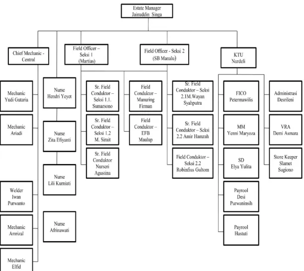 Gambar 1. Struktur organisasi PT. AMP Plantation Unit   3.5.2. Uraian struktur organisasi 