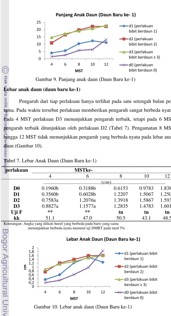 Tabel 7. Lebar Anak Daun (Daun Baru ke-1) 