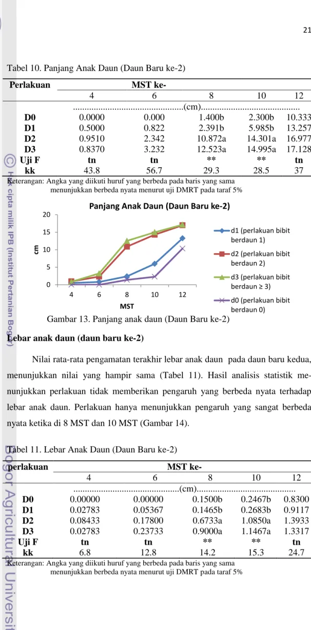 Tabel 10. Panjang Anak Daun (Daun Baru ke-2) 