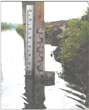 Gambar 11. Water Level yang Diletakkan Pada Kanal Utama Divisi I Sensus Tanaman