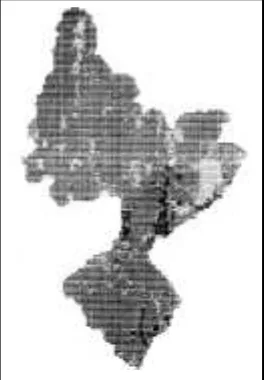 Gambar 5.15. Hasil output data yang menunjukkanpotensi aliran permukaan di DAS Pheasant Branch diWisconsin (Amerika Serikat)