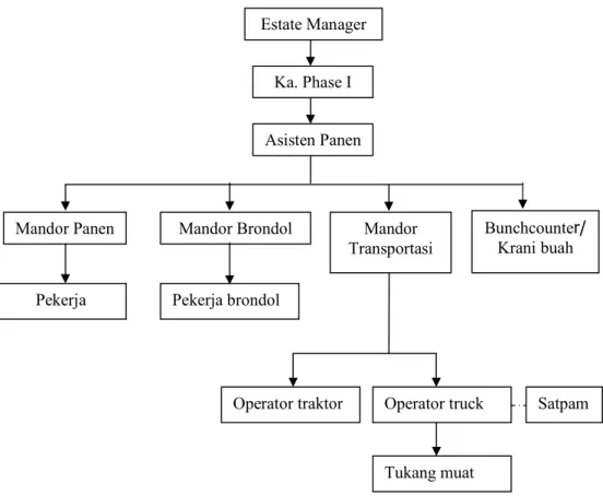 Gambar 1. Struktur organisasi panen dan pasca panen. 