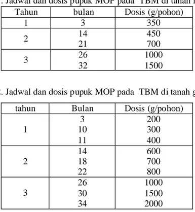 Tabel 1. Jadwal dan dosis pupuk MOP pada  TBM di tanah mineral  Tahun  bulan  Dosis (g/pohon) 