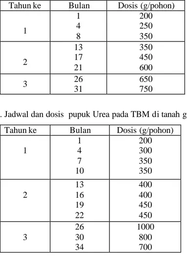 Tabel 6. Jadwal dan dosis  pupuk Urea pada TBM di tanah gambut  Tahun ke  Bulan  Dosis (g/pohon) 