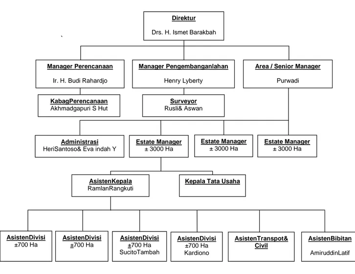Gambar 1 . Struktur organisasi PT. Anekareksa Internasional
