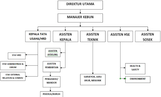 Gambar 1 .  Struktur Organisasi Usaha Perkebunan Kelapa Sawit PT.NPC 