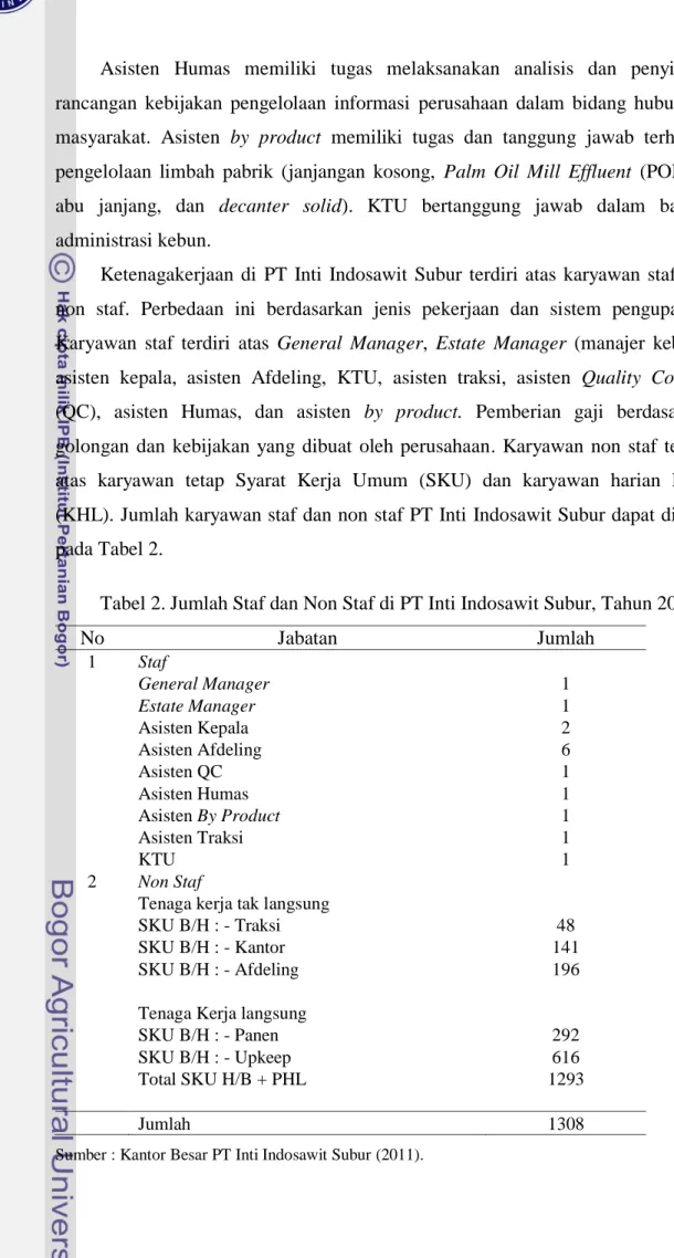 Tabel 2. Jumlah Staf dan Non Staf di PT Inti Indosawit Subur, Tahun 2010 