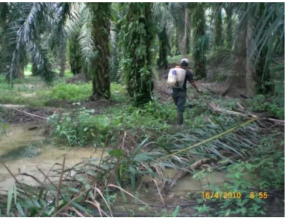 Gambar 2. Rawat Path dan TPH