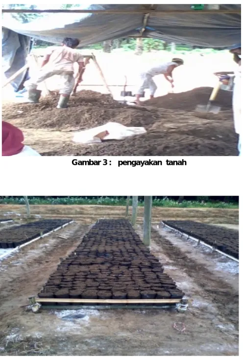 Gambar 3 :   pengayakan  tanah 