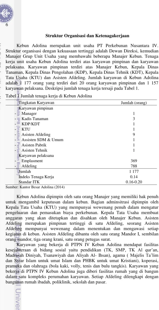 Tabel 1 Jumlah tenaga kerja di Kebun Adolina 