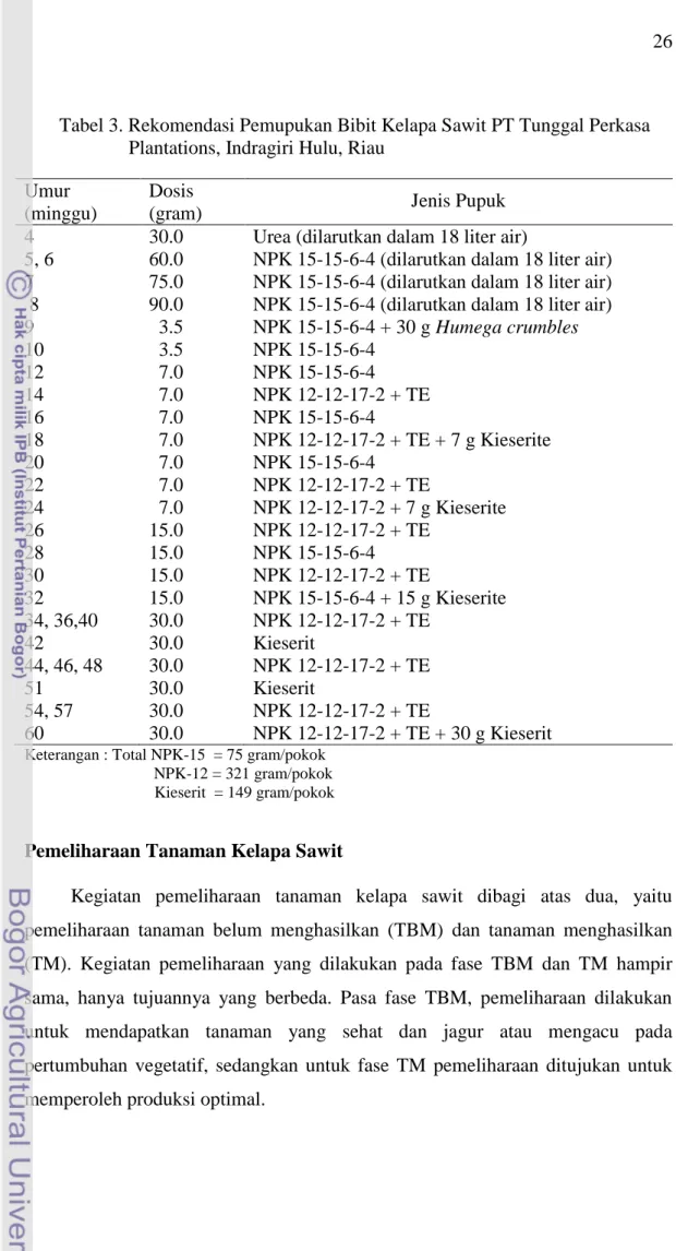 Tabel 3. Rekomendasi Pemupukan Bibit Kelapa Sawit PT Tunggal Perkasa  Plantations, Indragiri Hulu, Riau 