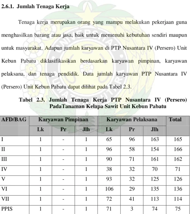 Tabel 2.3. Jumlah Tenaga Kerja  PTP Nusantara IV (Persero)  PadaTanaman Kelapa Sawit Unit Kebun Pabatu 