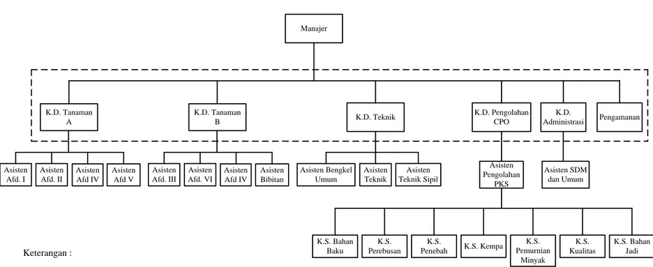 Gambar 2 . 1 .  Struktur Organisasi PTPN IV Unit Usaha Pabatu 