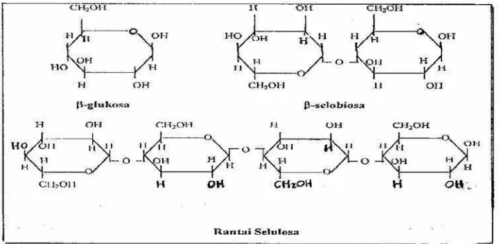 Gambar 1.  Rumus kimia β-glukosa, β-selobiosa dan rantai selulosa (Salle,1974).