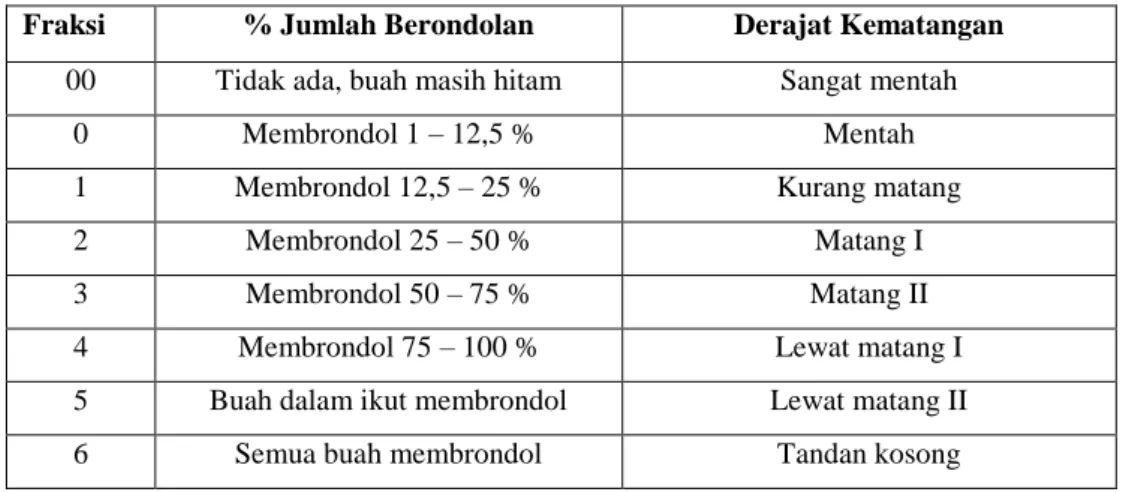 Tabel 2.1. Fraksi buah berdasarkan tingkat kematangan  