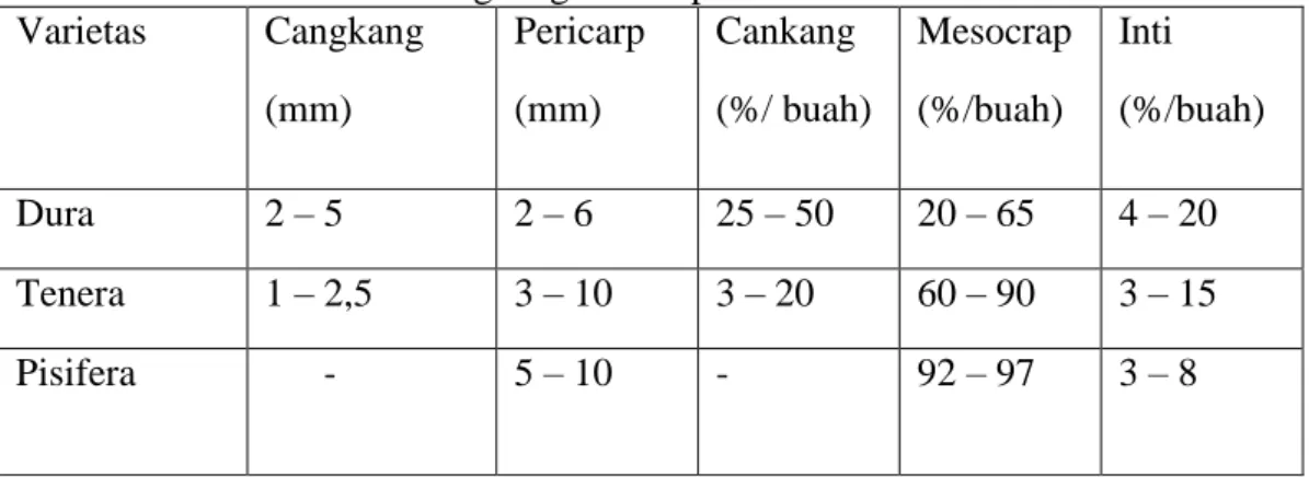 Tabel 1. Perbedaan Tabel Cangkang Beberapa Varietas   Varietas  Cangkang   (mm)  Pericarp (mm)  Cankang  (%/ buah)  Mesocrap (%/buah)  Inti  (%/buah)  Dura  2 – 5  2 – 6  25 – 50  20 – 65  4 – 20  Tenera  1 – 2,5  3 – 10  3 – 20  60 – 90   3 – 15  Pisifera