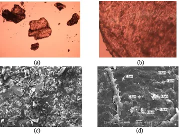 Gambar 5 Hasil light microscopy (a) kitosan mikrokristalin perbesaran 40 kali        (b) 400 kali (c) Scanning Electron Microscopy kitosan mikrokristalin perbesaran 50 kali (d) 1000 kali 