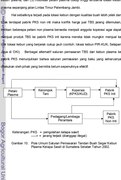 Gambar 10.   Pola Umum Saluran Pemasaran Tandan Buah Segar Kebun                       Plasma Kelapa Sawit di Sumatera Selatan Tahun 2002