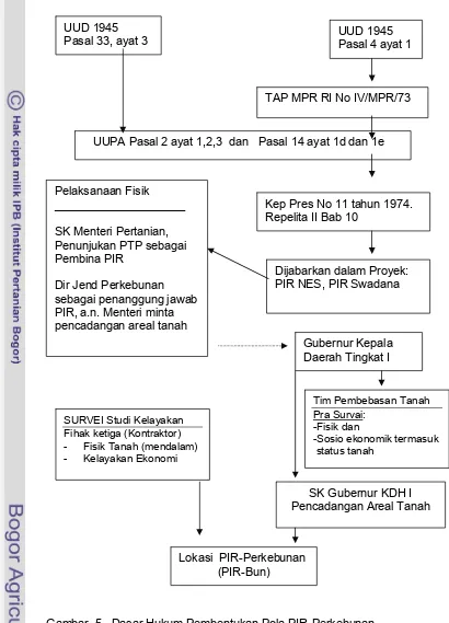 Gambar  5.  Dasar Hukum Pembentukan Pola PIR-Perkebunan  