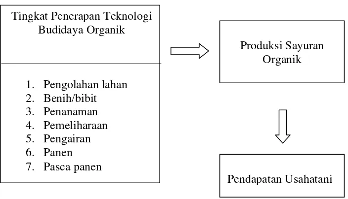 Gambar 1.  Paradigma tingkat penerapan teknologi budidaya sayuran organik, produksi, dan pendapatan