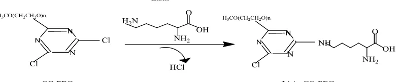 Gambar 7. Reaksi antara sianurat klorida polietilenglikol (CC-PEG) 