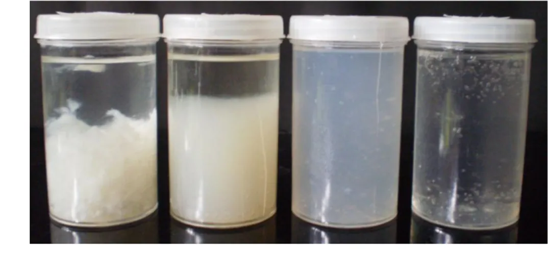 Gambar  11.  Penampakan  gel  bioetanol  dengan  menggunakan  beberapa  bahan  pengental,  (a)  guar  gum,  (b)  Natrium  Alginat,  (c)  Karagenan,  dan  (d)  CMC