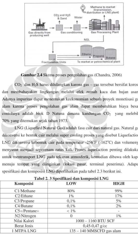 Gambar 2.4 Skema proses pengolahan gas (Chandra, 2006) 