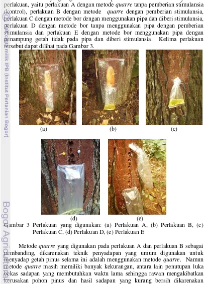 Gambar 3 Perlakuan yang digunakan: (a) Perlakuan A, (b) Perlakuan B, (c) 