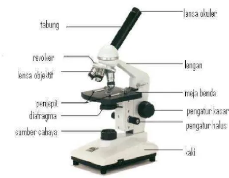 Gambar 2.10 Bagian-Bagian Mikroskop 