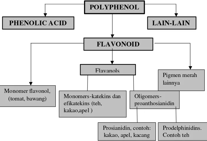 Gambar 4  Struktur kimia flavonoid. 