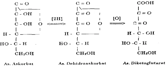 Gambar 6  Struktur kimia tiga bentuk asam askorbat. 