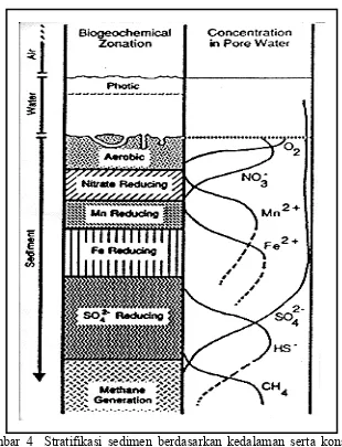 Gambar 4  Stratifikasi sedimen berdasarkan kedalaman serta konsentrasi senyawa-senyawa kimia pada setiap kedalaman
