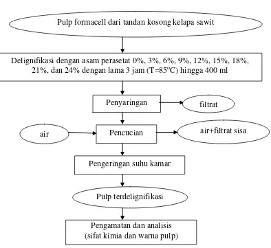 Gambar 5.  Diagram alir delignifikasi pulp bahan tandan kosong kelapa sawit Sumber   :  Yanto, 2011 yang telah dimodifikasi 