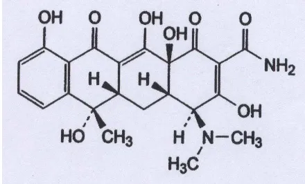 Gambar 2.6 Struktur kimia tetrasiklin (Departemen Kesehatan Republik 