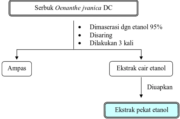 Gambar IV.3   Bagan pembuatan ekstrak etanol  herba Tespong   (Oenanthe javanica DC) 