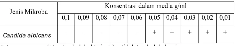 Tabel IV.5 Hasil Pengujian Konsentrasi Hambat Minimum Ekstrak Etanol            Herba Tespong (Oenanthe javanica DC.) terhadap Bakteri  