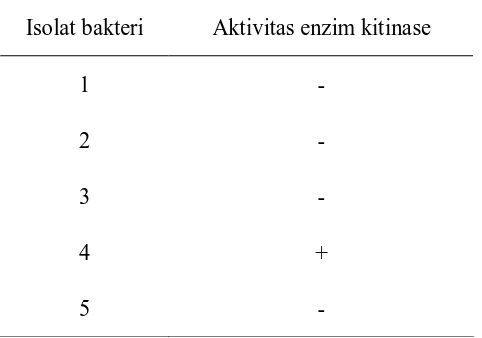 Tabel 4.2 Penapisan Bakteri Penghasil Enzim Kitinase 