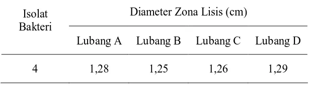 Tabel 4.3 Diameter Zona Lisis Aktivitas Enzim Kitinase 